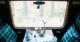 Alles over de kosten van een NS abonnement voor 65-plussers